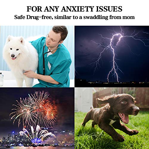 Buy Online High Quality Dog Anxiety Vest Jacket Dogs Cats thunder and fireworks shirt - Mydawgz