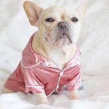 Buy Online High Quality Dog Pajamas Pet Clothes Dogs Soft Silk French Bulldog Pajamas Pet Puppy Cat Dogs - Mydawgz