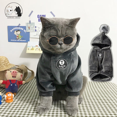 Buy Online High Quality Bad Kitty! Gray hoodie Cat Dog Pet Clothes Fleece Hoodie - Mydawgz