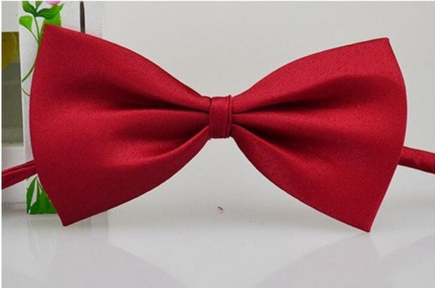 Buy Online High Quality Dog bow tie // neck tie // puppy bow tie // adjustable bow tie - Mydawgz