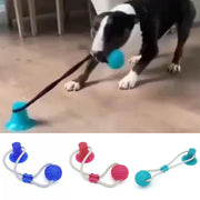 Buy Online High Quality Suction Cup Dog Toy IQ Toys Interactive Treat Tug of War Toy - Mydawgz