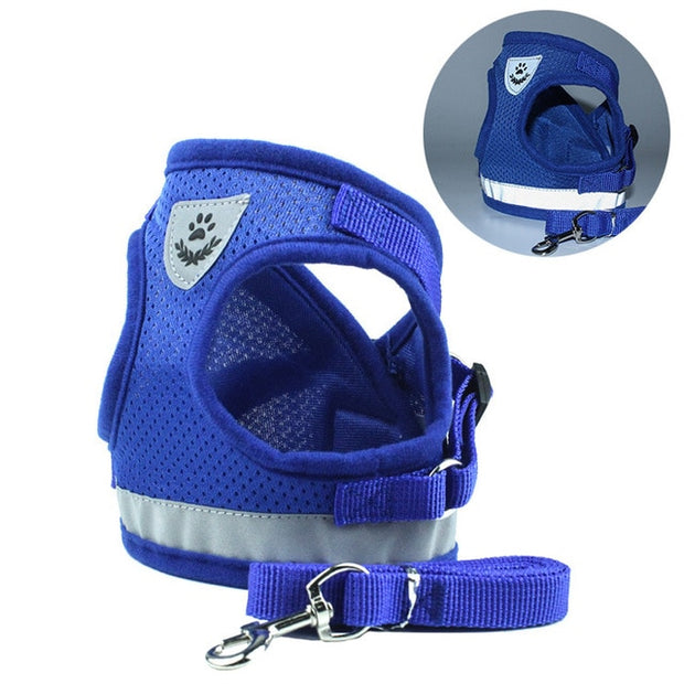 Buy Online High Quality Buy Soft Padded Dog Harness Comfortable Harness Adjustable Dog Harness with Leash - Mydawgz