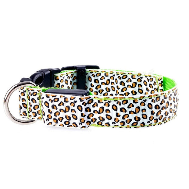 Buy Online High Quality LED Dog Collar Leopard Luminous Adjustable LED Collar For Dogs Night Safety - Mydawgz