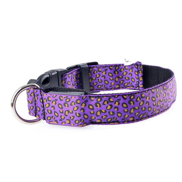 Buy Online High Quality LED Dog Collar Leopard Luminous Adjustable LED Collar For Dogs Night Safety - Mydawgz