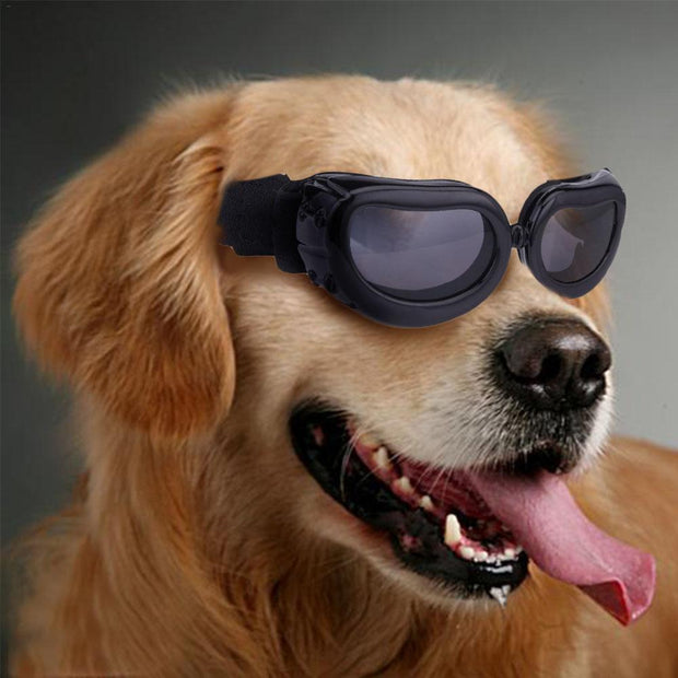 Buy Online High Quality Dog Goggles Sun Glasses Pet Cat Goggles Puppy Cute Eye Protection Pet Grooming - Mydawgz