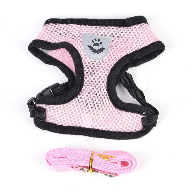 Buy Online High Quality Reflective Dog Harness. Safety Harness. Many Colors Available! - Mydawgz