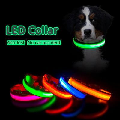 Buy Online High Quality USB Charging Led Dog Collar Anti-Lost/Avoid Car Accident Collar For Dogs Puppies Dog Collars Leads LED Supplies Pet Products - Mydawgz