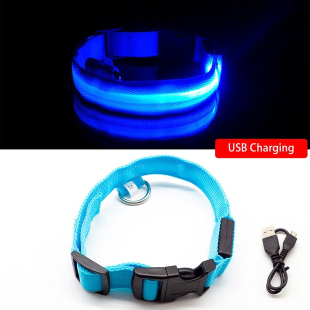 Buy Online High Quality USB Charging Led Dog Collar Anti-Lost/Avoid Car Accident Collar For Dogs Puppies Dog Collars Leads LED Supplies Pet Products - Mydawgz