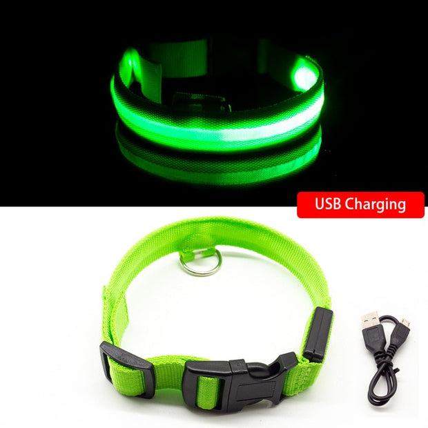 Buy Online High Quality USB Charging Led Dog Collar Anti-Lost/Avoid Car Accident Collar For Dogs Puppies Dog Collars Leads LED Supplies Pet Products - Mydawgz