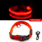 Buy Online High Quality USB Charging Led Dog Collar Anti-Lost/Avoid Car Accident Collar For Dogs Puppies Dog Collars Leads LED Supplies Pet Products - Mydawgz