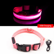 Buy Online High Quality USB Charging Led Dog Collar Anti-Lost/Avoid Car Accident Collar For Dogs Puppies Dog Collars Leads LED Supplies Pet Products - Mydawgz