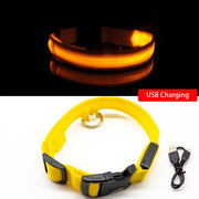 Buy Online High Quality USB Charging Led Dog Collar Anti-Lost/Avoid Car Accident Collar For Dogs Puppies Dog Collars Leads LED Supplies Pet Products - Mydawgz