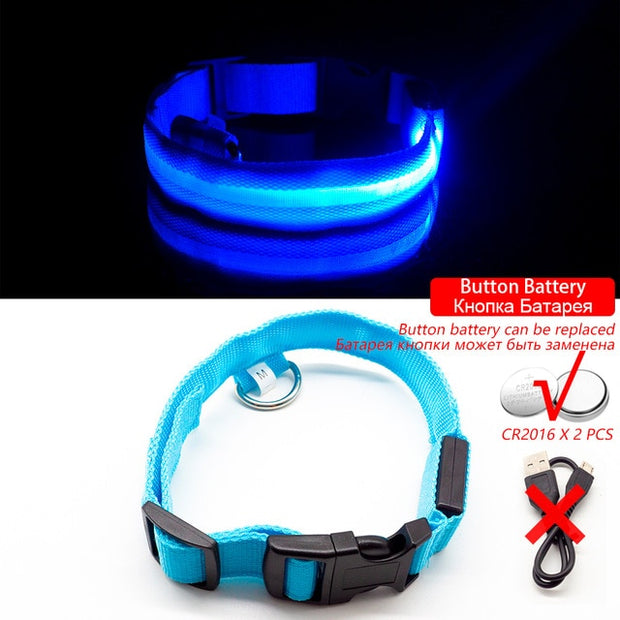 Buy Online High Quality USB Charging Led Dog Collar Anti-Lost/Avoid Car Accident Collar For Dogs Puppies Dog Collars Leads LED Supplies Pet Products - Mydawgz