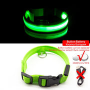 Buy Online High Quality USB Charging Led Dog Collar Anti-Lost/Avoid Car Accident Collar For Dogs Puppies Dog Collars Leads LED Supplies Pet Products - Mydawgz