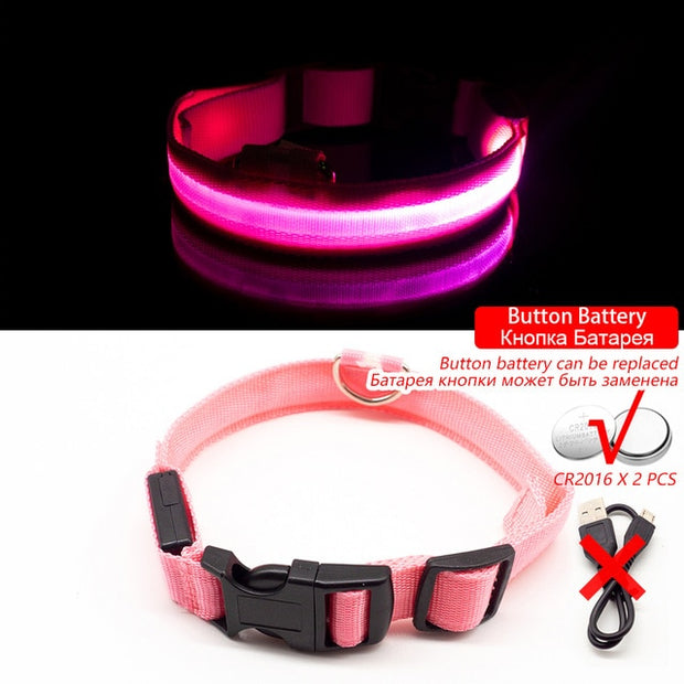 Buy Online High Quality USB Charging Led Dog Collar Anti-Lost/Avoid Car Accident Collar For Dogs Puppies Dog Collars Leads LED Supplies Pet Products - Mydawgz