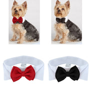 Buy Online High Quality Wedding Bow Tie for your pet! Dog Bow Tie! - Mydawgz