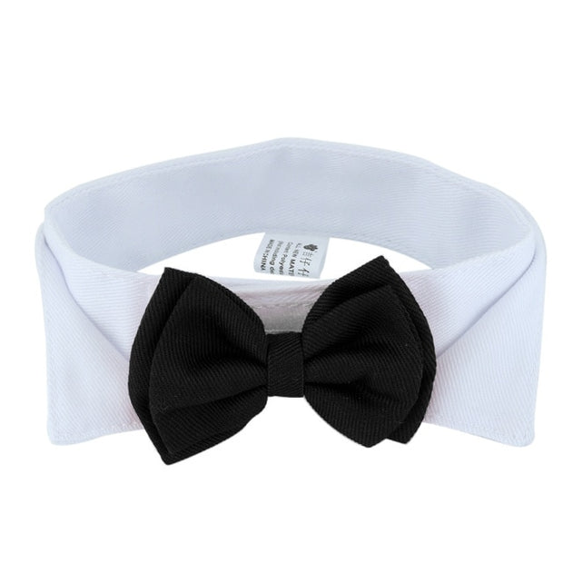 Buy Online High Quality Wedding Bow Tie for your pet! Dog Bow Tie! - Mydawgz