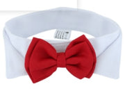 Buy Online High Quality Wedding Bow Tie for your pet! Dog Bow Tie! - Mydawgz