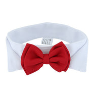 Buy Online High Quality Wedding Bow Tie for your pet! Dog Bow Tie! - Mydawgz