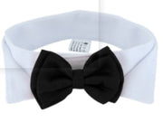 Buy Online High Quality Wedding Bow Tie for your pet! Dog Bow Tie! - Mydawgz