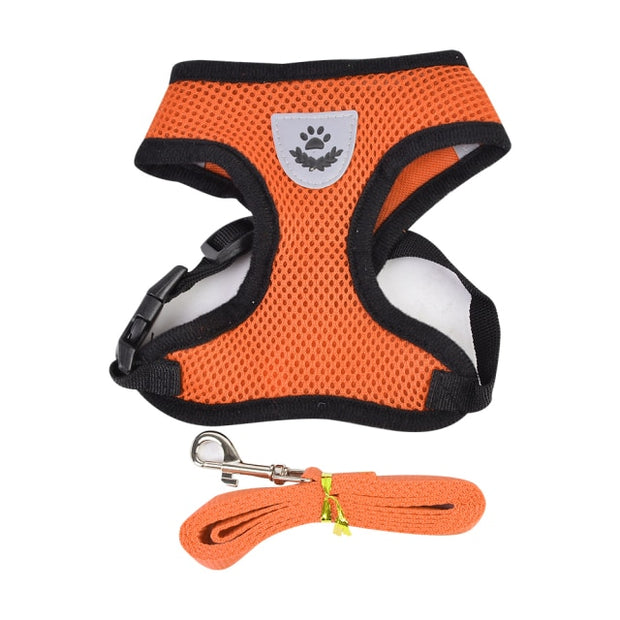 Buy Online High Quality Reflective Dog Harness. Safety Harness. Many Colors Available! - Mydawgz