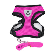 Buy Online High Quality Reflective Dog Harness. Safety Harness. Many Colors Available! - Mydawgz