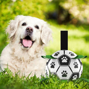 Buy Online High Quality Dog Soccer ball //Grab Tabs Outdoor Multifunctional Interactive // Soccer Ball - Mydawgz