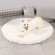 Buy Online High Quality Pet Bed Mat for Dogs or Cats Soft Round Pet bed Dog Bed Cat Bed Comfy Pet Bed - Mydawgz