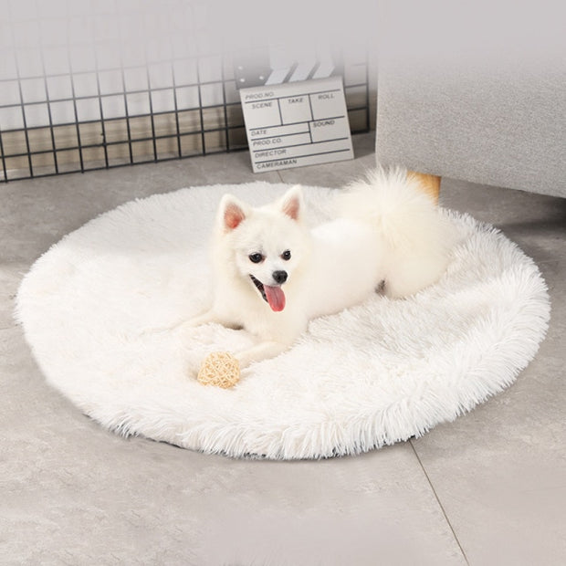 Buy Online High Quality Pet Bed Mat for Dogs or Cats Soft Round Pet bed Dog Bed Cat Bed Comfy Pet Bed - Mydawgz