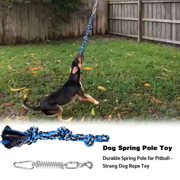 Buy Online High Quality Outdoor Hanging Bungee Dog Toys Exercise Rope Pull Tug Muscle Builder Dogs toy Sportswear Accessories Toys Durable Pet Products - Mydawgz